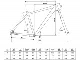 Rower Kellys CARSON 50 28 2020