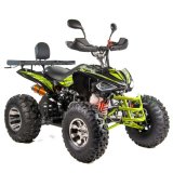 Quad XTR RAPTOR 250cm3