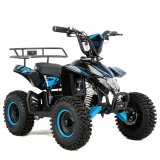 Mini Quad elektryczny XTR E-M8 1000W