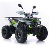 Quad ASIX HUNTER 125CM3