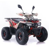 Quad ASIX HUNTER 125CM3