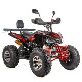 Quad XTR RAPTOR 250cm3