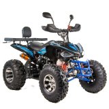 Quad XTR RAPTOR 250cm3