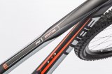 Rower Cube REACTION GTC PRO 29 szary